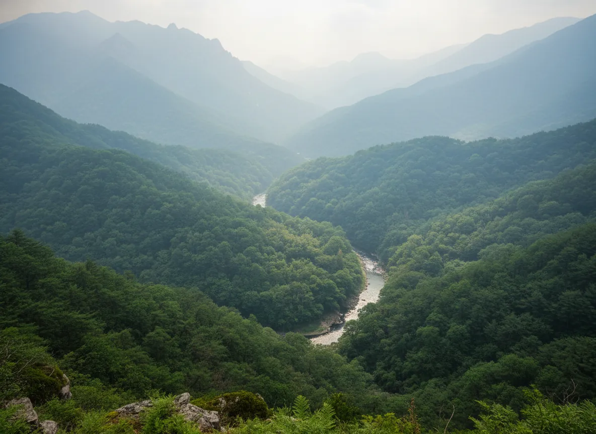 제암산자연휴양림 산책로